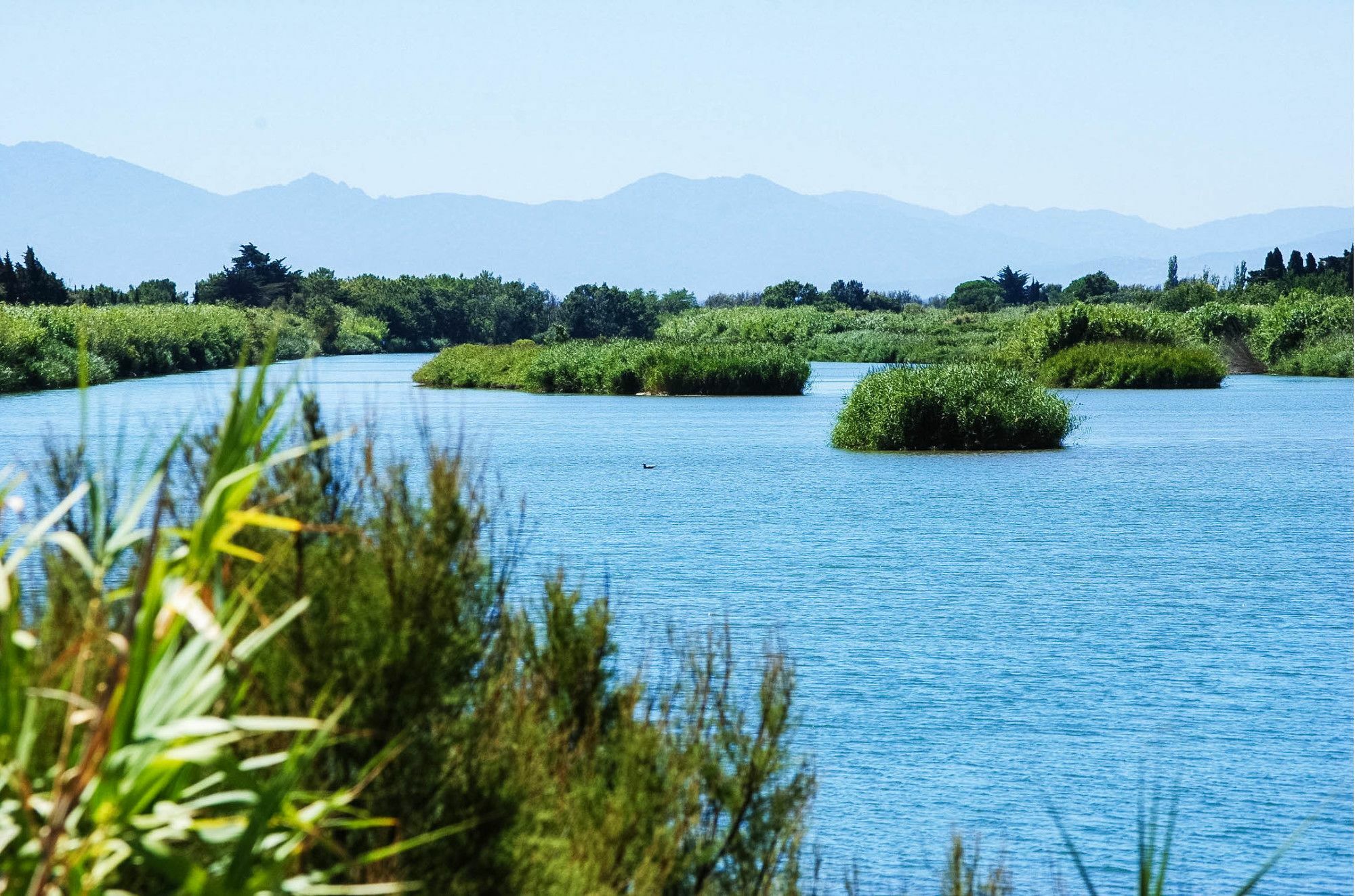 Ibis Styles Perpignan Canet En Roussillon Екстериор снимка